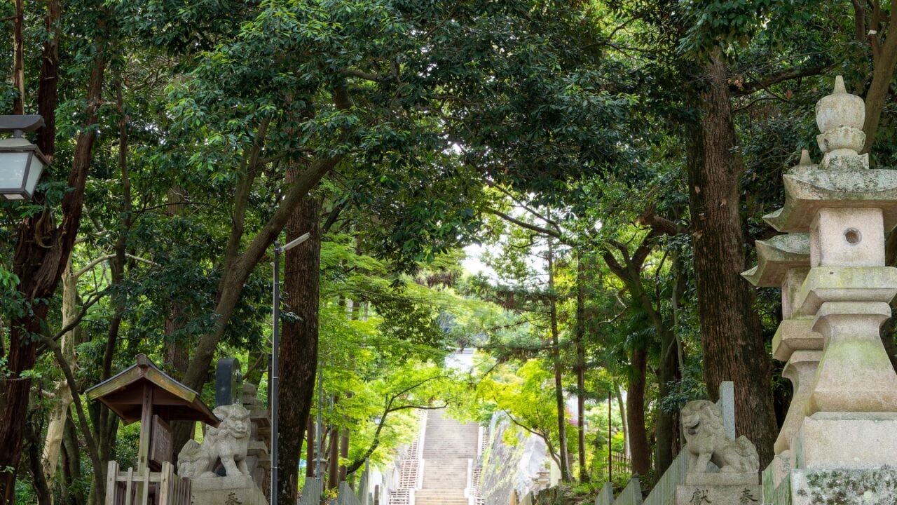 大阪府八尾市の神社一覧