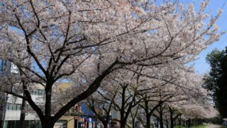 大阪府大東市の神社一覧