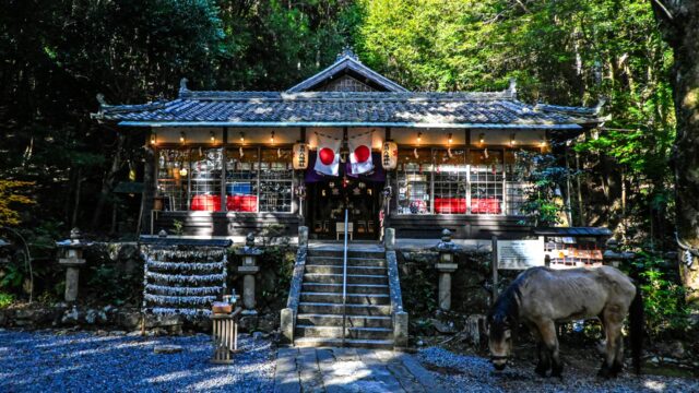 大阪府豊能郡豊能町の神社一覧