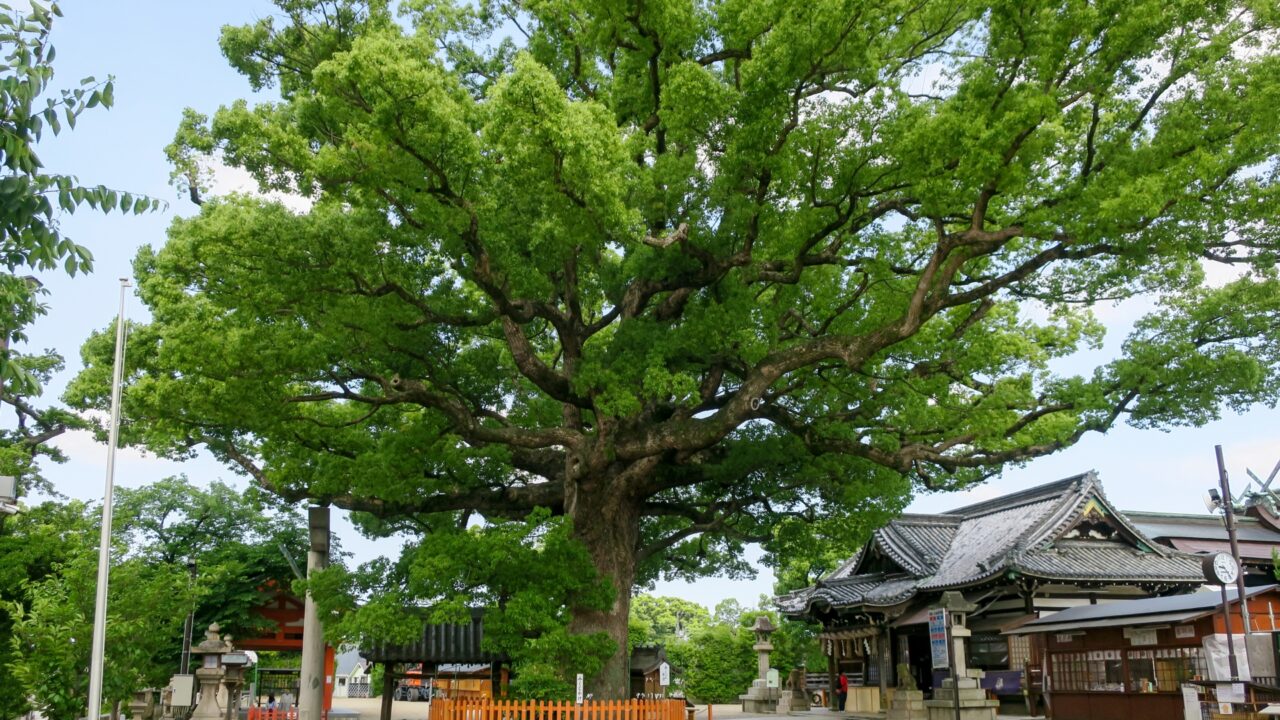 大阪府堺市北区の神社一覧