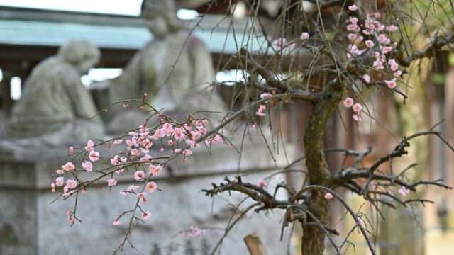 大阪府四條畷市の神社一覧