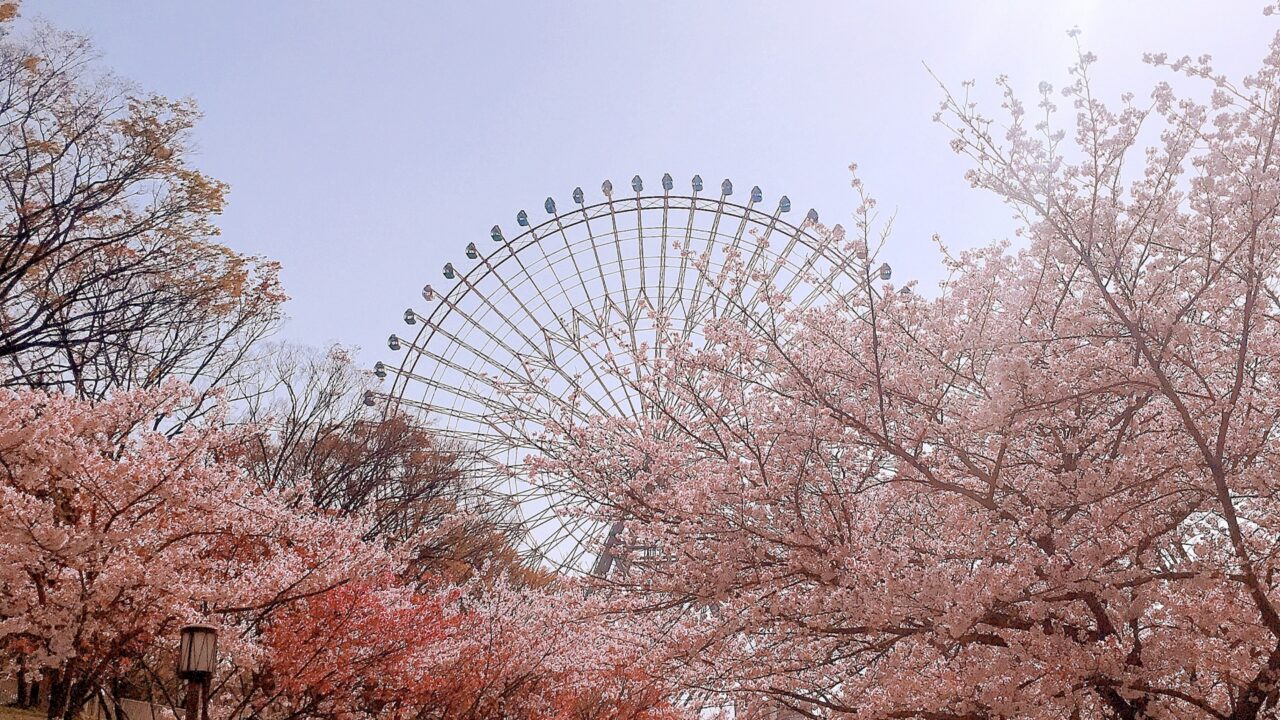 大阪府大阪市港区の神社一覧