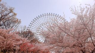 大阪府大阪市港区の神社一覧