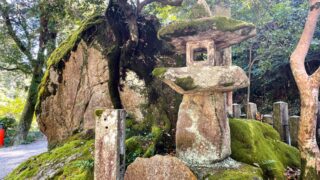 大阪府交野市の神社一覧