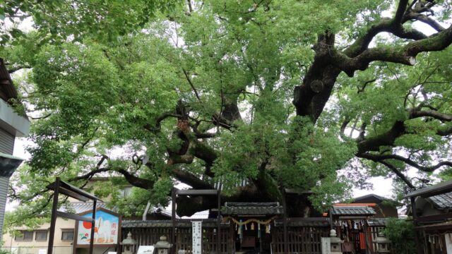 大阪府門真市の神社一覧