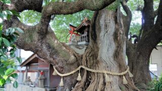 大阪府大阪市東成区の神社一覧